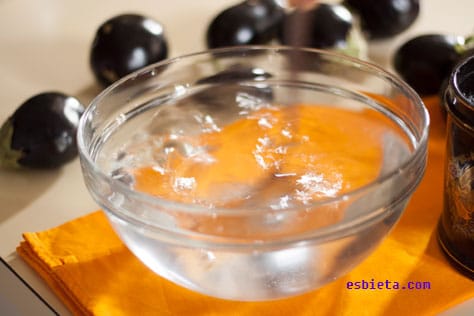 berenjenas-en-salsa-yogur-1