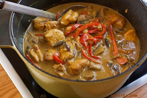 pavo-curry-3